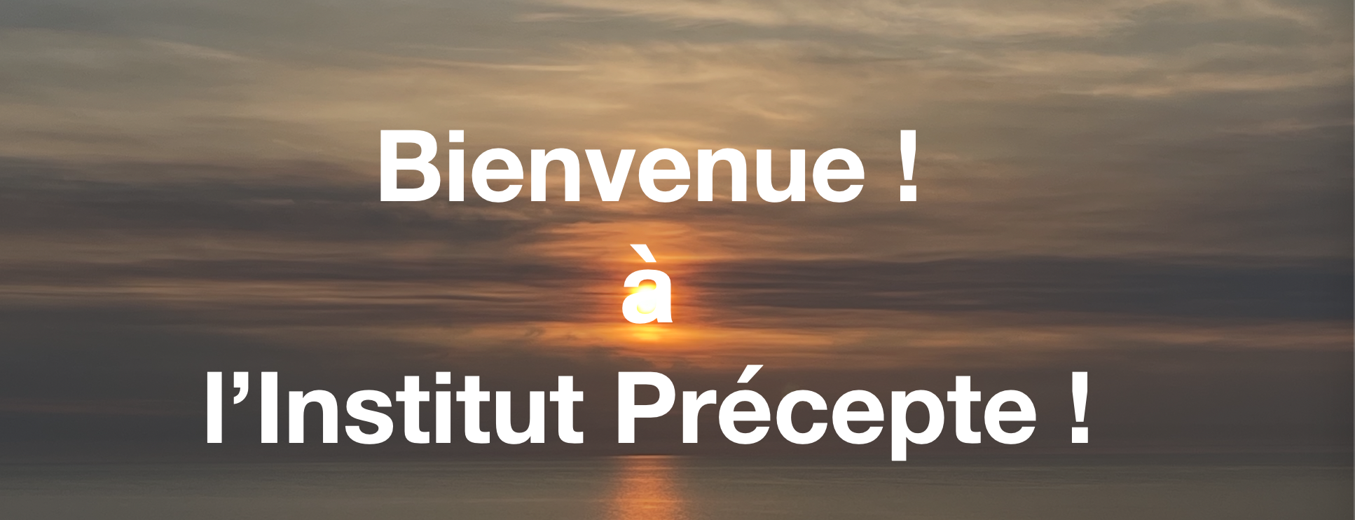 Bienvenue site web